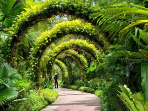Best Places to See in Singapore: Must-Visit 2025-2026 5 places to see in Singapore botanic gardens