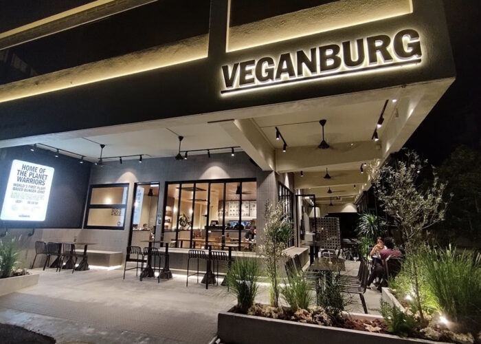 66475a53b3b28b6d08fd378a whimsy lee 66475a53b3b28b6d08fd378a whimsy lee