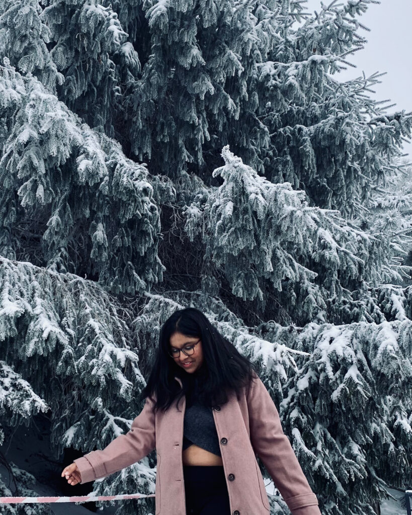 Home 3 Almaty Snowfall